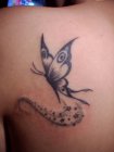 motyl