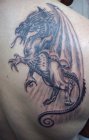 gryf