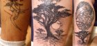 cover + freehand