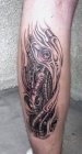 biomech
