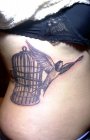 birdcage