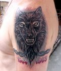 black wolf cover