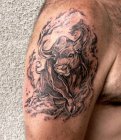 bull