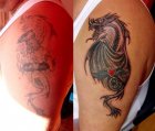 cover dragon