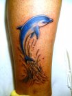 delfin