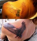 eagle cover
