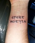 efekt motyla
