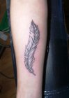 feather