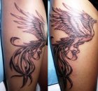 fenix