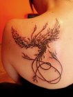 fenix