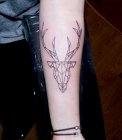 geometria