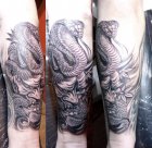 japan snake