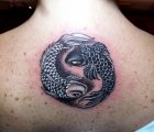 koi zodiak