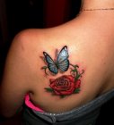 motyl
