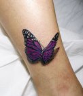 pink purple