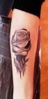 rose