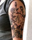 roze