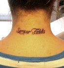 semper