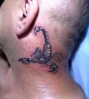 skorpion