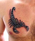 skorpion