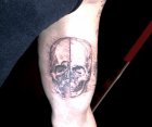 skull da vinci