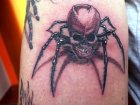 spider