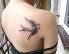swallow classic