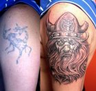 viking cover