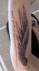 wing angel