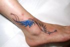 wings