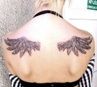 wings