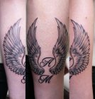 wings