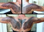 wings xxl