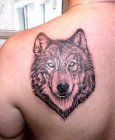 wolf head