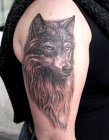 wolfik
