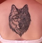 wolfik